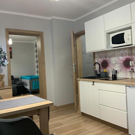 Domek Na Wzgorzu Muszyna Bagian luar foto